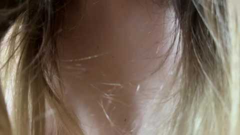 faseremx free recording from 2025-06-07 04:13:00