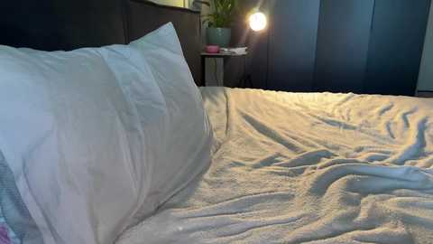 girl_next_door19 free recording from 