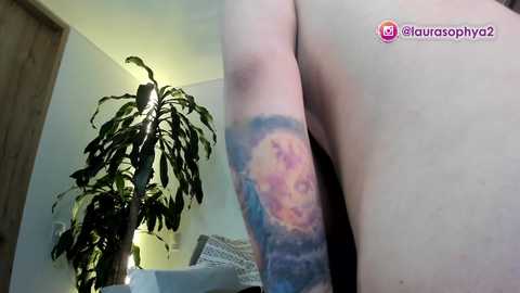 laurasophya free recording from 