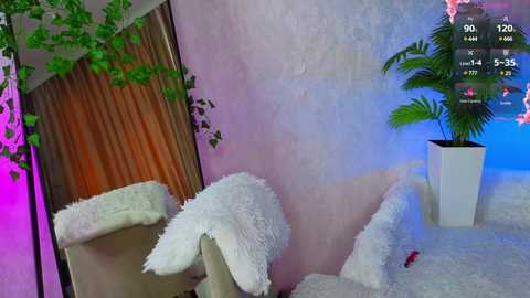 noreenestabrooks free recording from 2025-06-07 11:54:00