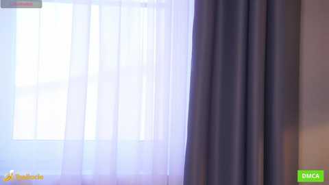 bellacle free recording from 2025-06-08 11:37:00