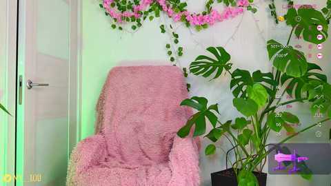 breeding_material free recording from 2025-06-08 19:42:00