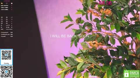 lissa_meooow free recording from 