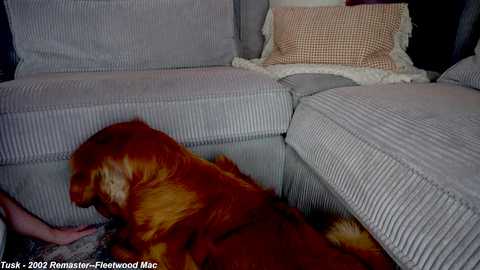 x_lily_x free recording from 2025-06-08 04:21:00