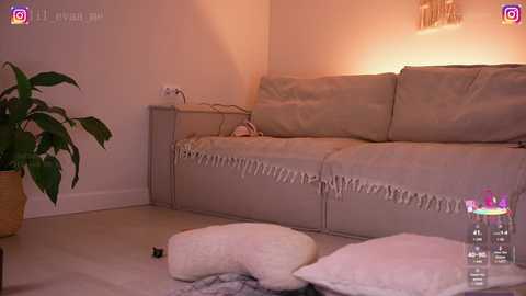 lil_eva free recording from 2025-06-09 15:41:00