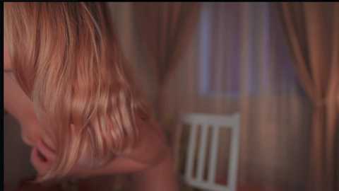 _protea free recording from 2025-06-10 03:37:00