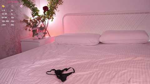 _your_fenka_ free recording from 