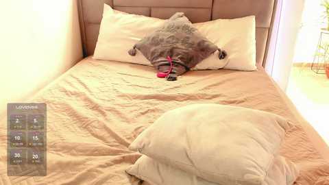 alanna_house1 free recording from 2025-06-10 16:02:00