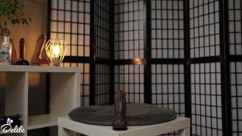 delitevip free recording from 2025-06-10 14:21:00