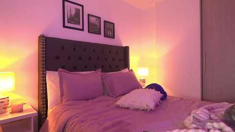 meiis_ free recording from 