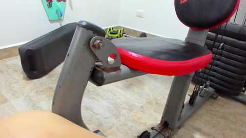 miller_fit_ free recording from 2025-06-10 03:06:00