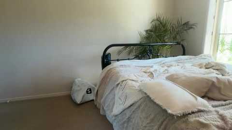 novamills free recording from 2025-06-10 03:26:00