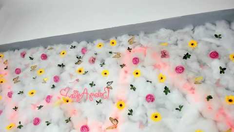 babyaylin free recording from 2025-06-11 09:29:00