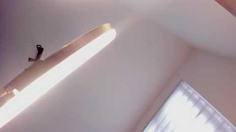 itsbellax free recording from 2025-06-11 10:49:00