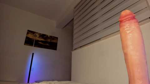 itsbellax free recording from 2025-06-11 18:45:00