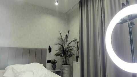 qwoopa free recording from 