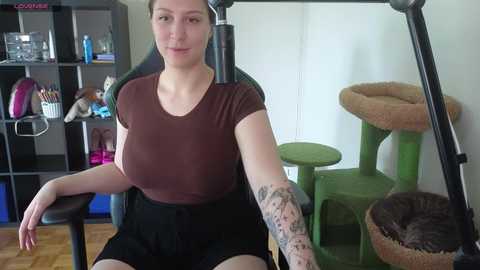 alexa_dream free recording from 2025-06-12 21:43:00