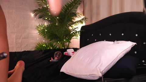 dakota_blare free recording from 2025-06-12 07:39:00