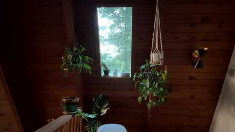 emersoncane free recording from 2025-06-12 00:14:00