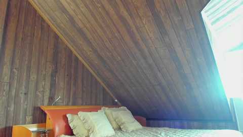 anfisavisti_original free recording from 2025-06-13 02:36:00