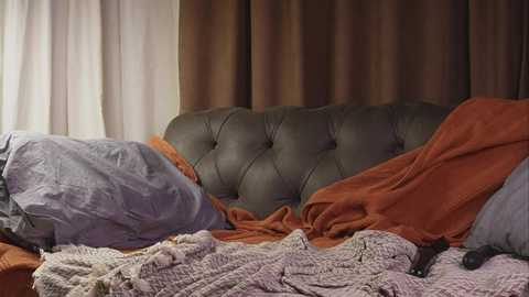 ballerinacappuccino free recording from 2025-06-13 18:58:00