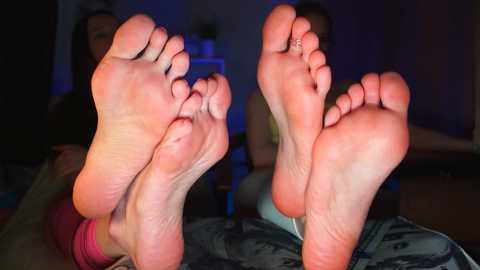 dorothygilbert free recording from 2025-06-13 19:50:00