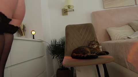 funny_to_see_you_here free recording from 