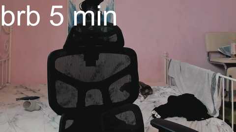 jeff_enigma free recording from 2025-06-13 06:30:00