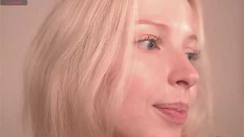 my_stella free recording from 