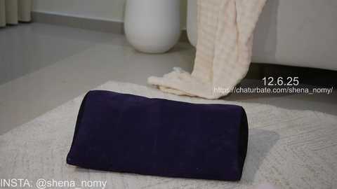 shena_nomy free recording from 2025-06-13 06:08:00