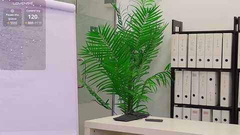 babesgowild free recording from 