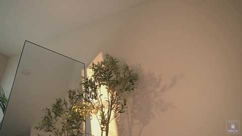 myliss free recording from 