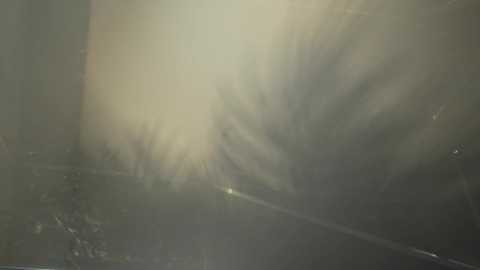 heybanan free recording from 2025-06-15 20:10:00