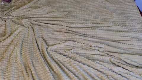 pinkadele free recording from 2025-06-15 07:39:00