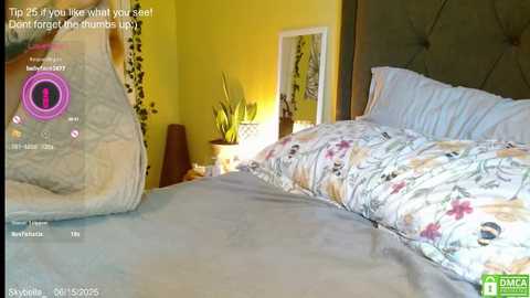 skybella_ free recording from 2025-06-15 15:06:00