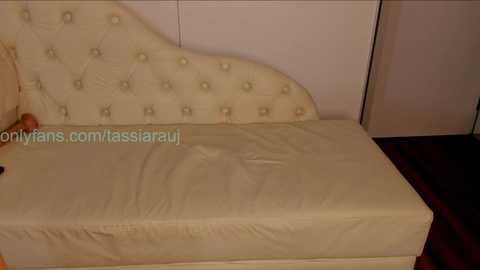 tassiarauj free recording from 2025-06-15 06:19:00