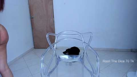 sabrina_geek free recording from 