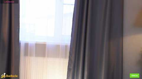 bellacle free recording from 2025-06-17 14:04:00