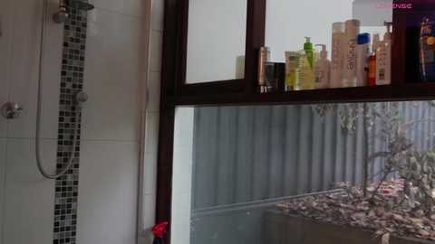 bellebabyboo free recording from 2025-06-17 06:56:00