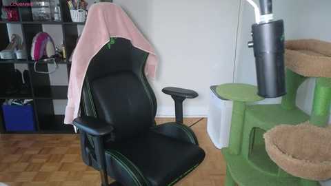 alexa_dream free recording from 2025-06-18 00:36:00