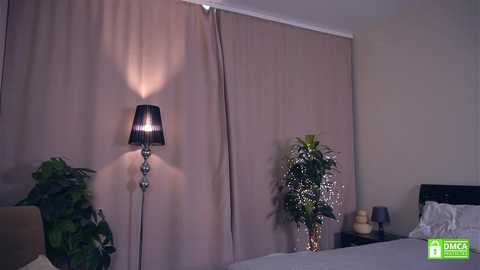 felissiany free recording from 