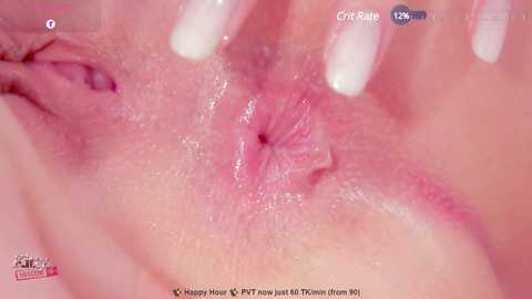 kittyobscene free recording from 2025-06-18 06:31:00