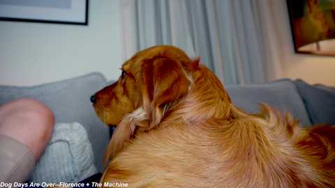 x_lily_x free recording from 2025-06-18 02:01:00