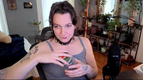 artiepaints free recording from 