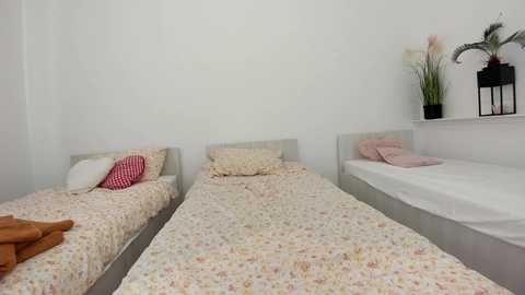 ehotlovea free recording from 