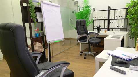 babesgowild free recording from 2025-06-20 06:59:00