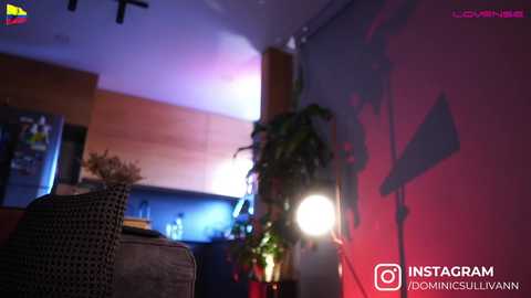 dominic_sullivan1 free recording from 2025-06-20 17:43:00