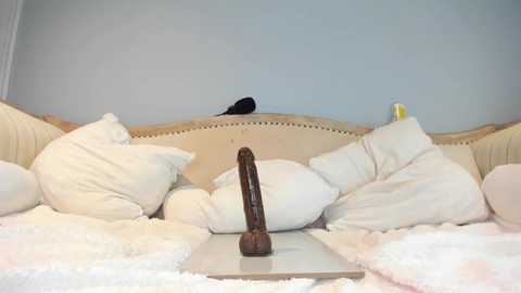 eatmygingersnapps free recording from 2025-06-20 16:26:00