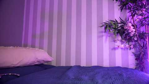 littlee33 free recording from 