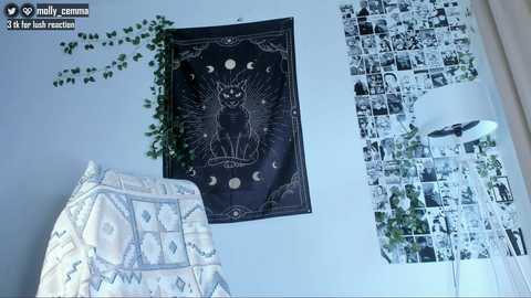 mollycemma free recording from 2025-06-21 11:59:00